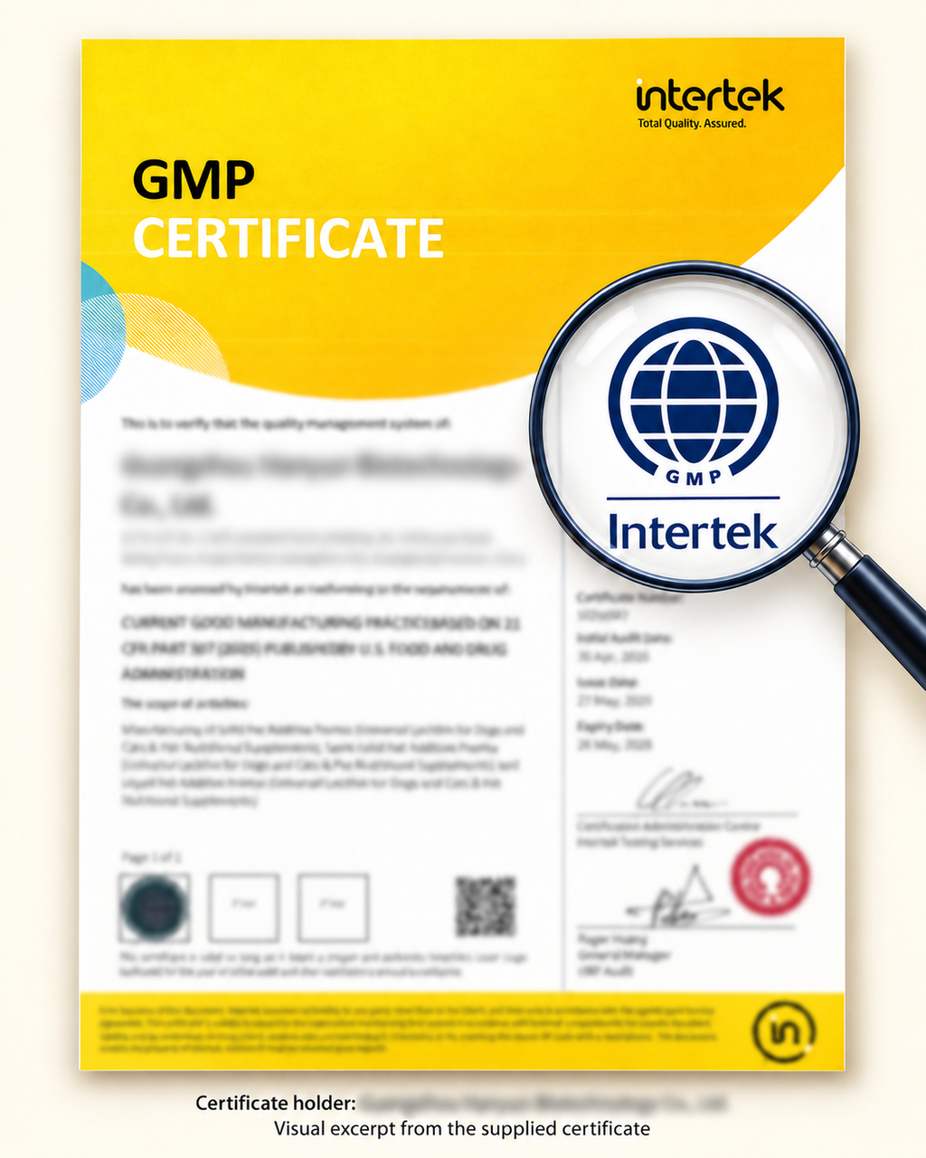 Manufacturing facility GMP certificate, visual excerpt with supplier identifying details blurred.